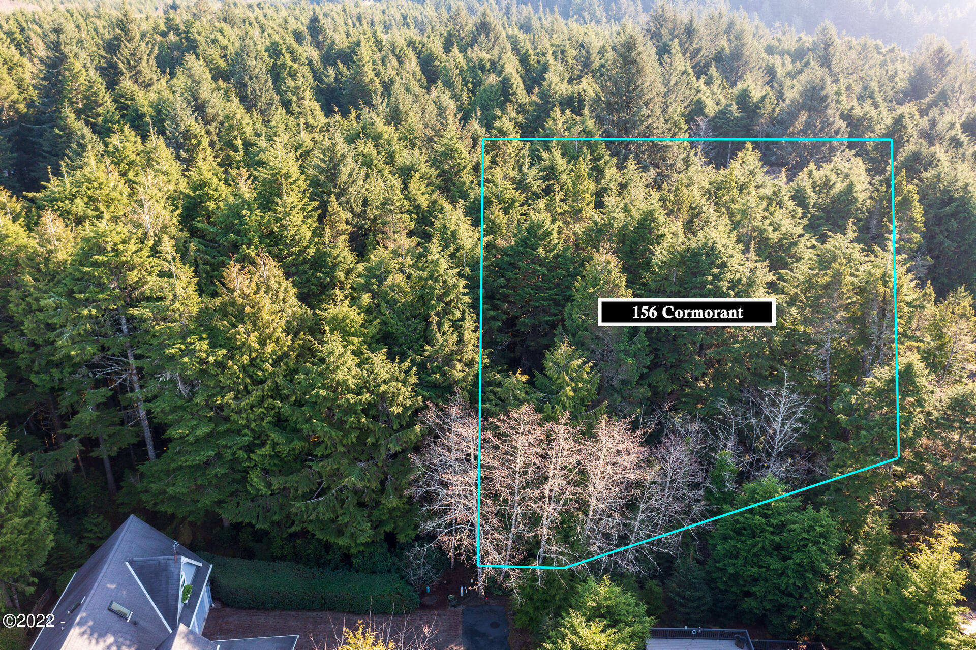 Lot 156 SW Cormorant Depoe Bay, Gleneden Beach, Lincoln City, Newport, Otis, Rose Lodge, Seal Rock, Waldport, Yachats, To Home Listings - Amy Plechaty, Emerald Coast Realty Real Estate, homes for sale, property for sale
