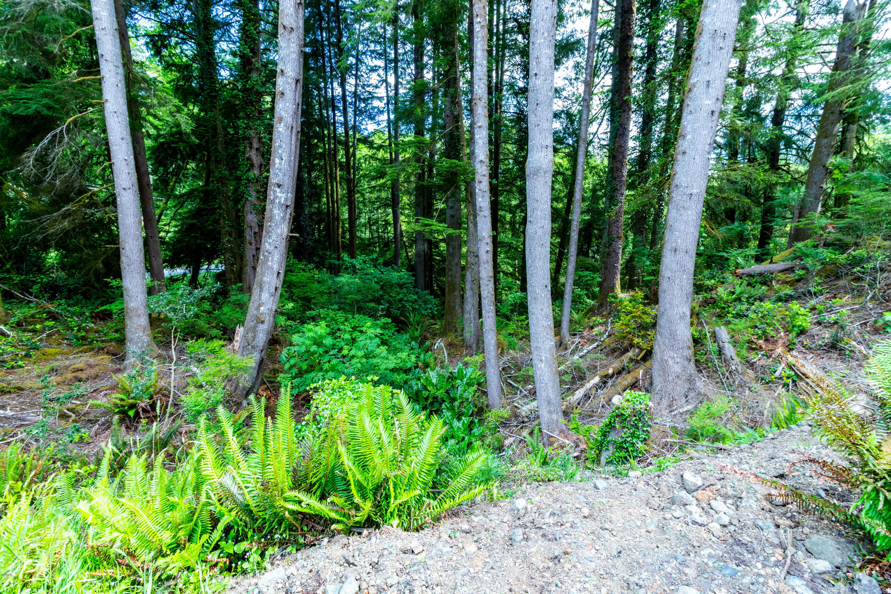 Lot 7 NE West Devils Lake Rd Depoe Bay, Gleneden Beach, Lincoln City, Newport, Otis, Rose Lodge, Seal Rock, Waldport, Yachats, To Home Listings - Amy Plechaty, Emerald Coast Realty Real Estate, homes for sale, property for sale